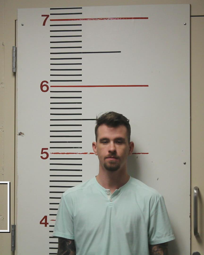 LEE, JOHN MITCHELL booking photo