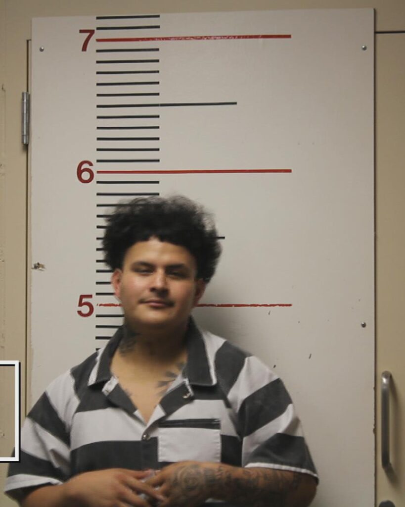 LOAEZA, CHRISTOPHER RICARDO arrested in Anderson County, Texas mugshot