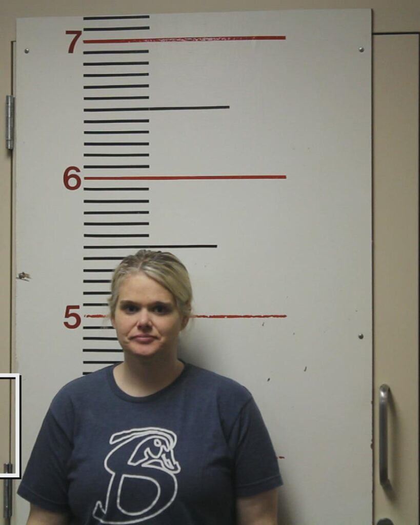 WILKINSON, REBEKAH LEIGH arrested in Anderson County, Texas mugshot