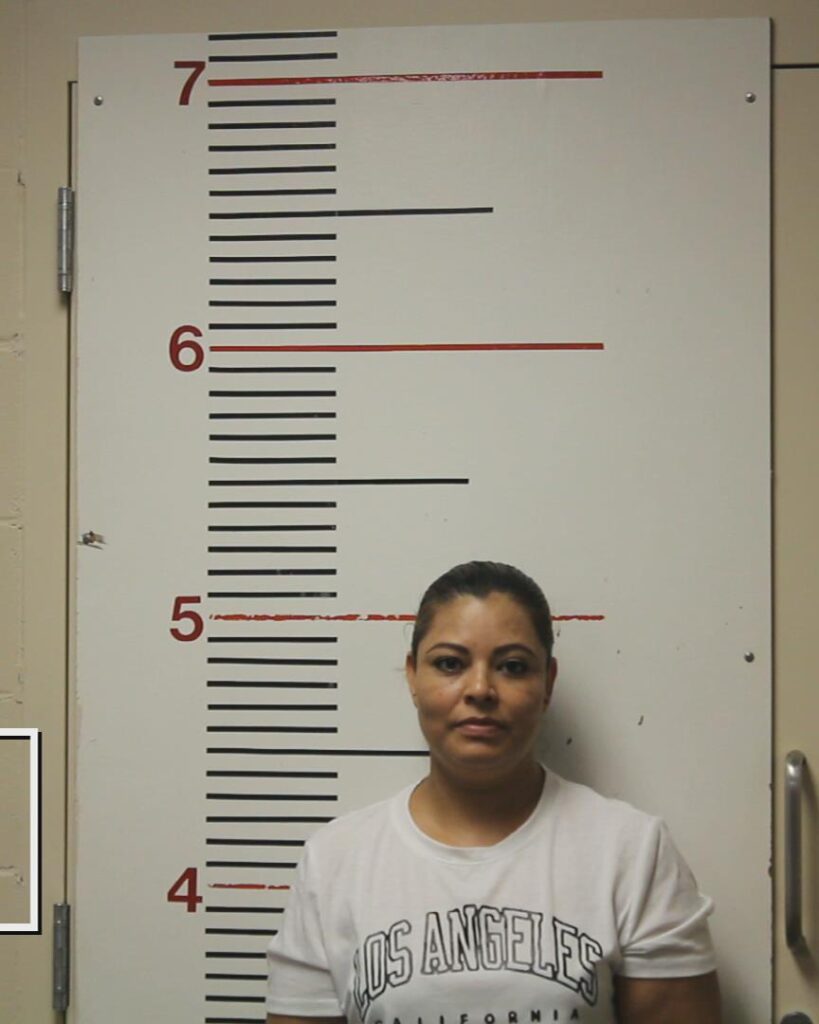 TORRES, MARIA DEL CARMEN ANDRADE arrested in Anderson County, Texas mugshot