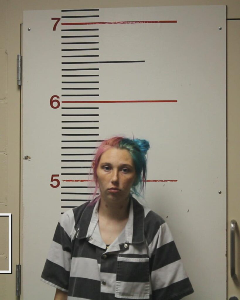 CRUICKSHANK, BRITTANY NICHOLE arrested in Anderson County, Texas mugshot