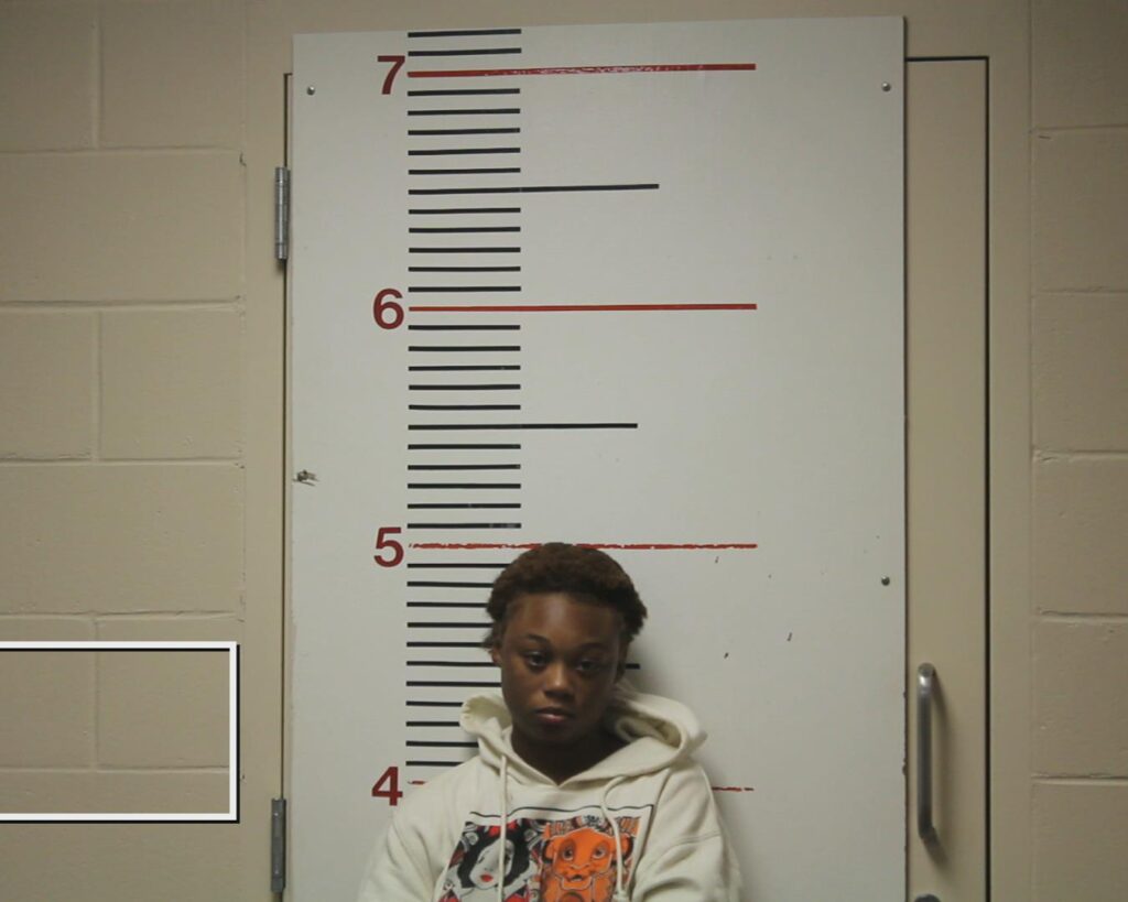 Beechum, LaDasha Patrice arrested in Anderson County, Texas mugshot