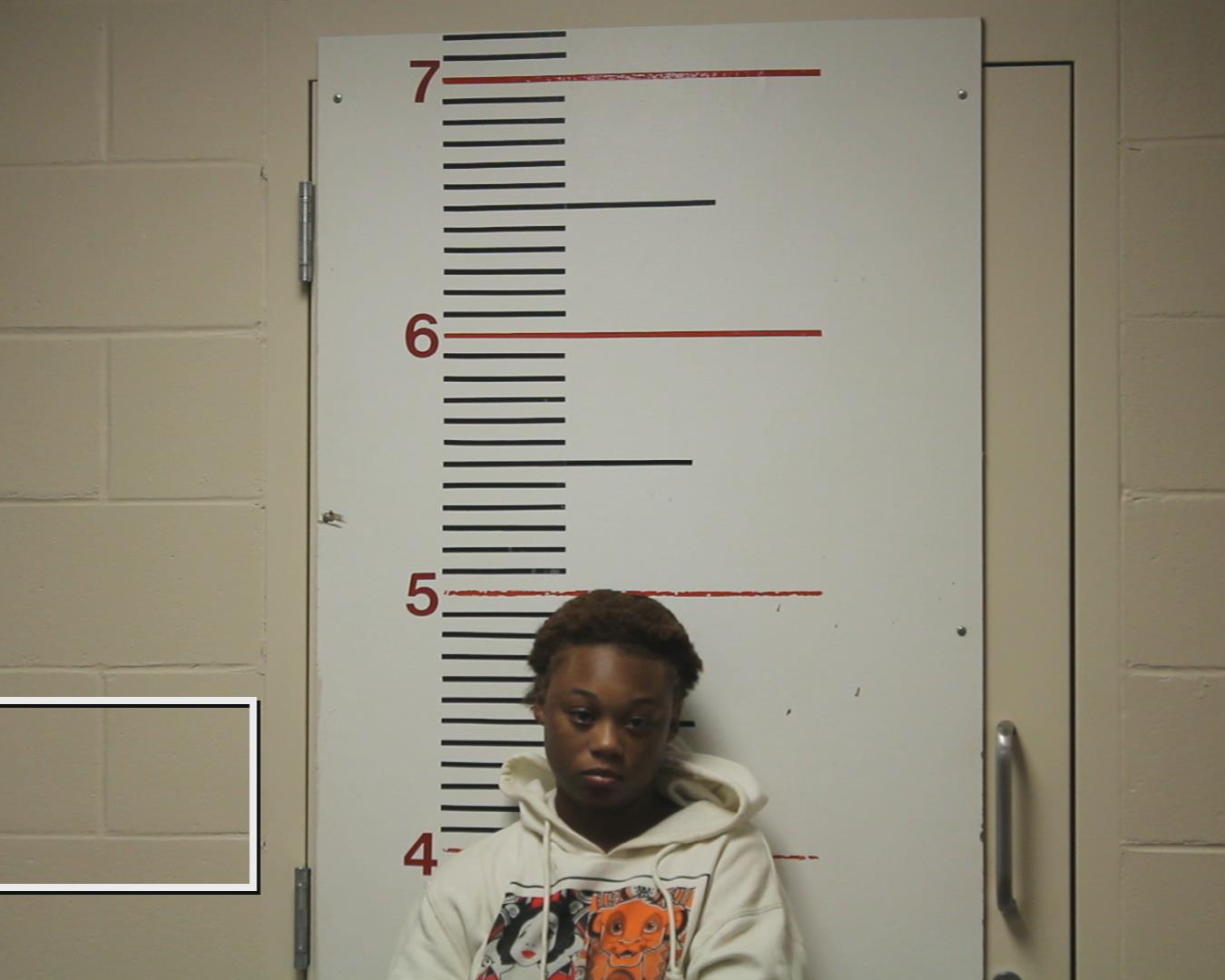 Beechum, LaDasha Patrice booking photo