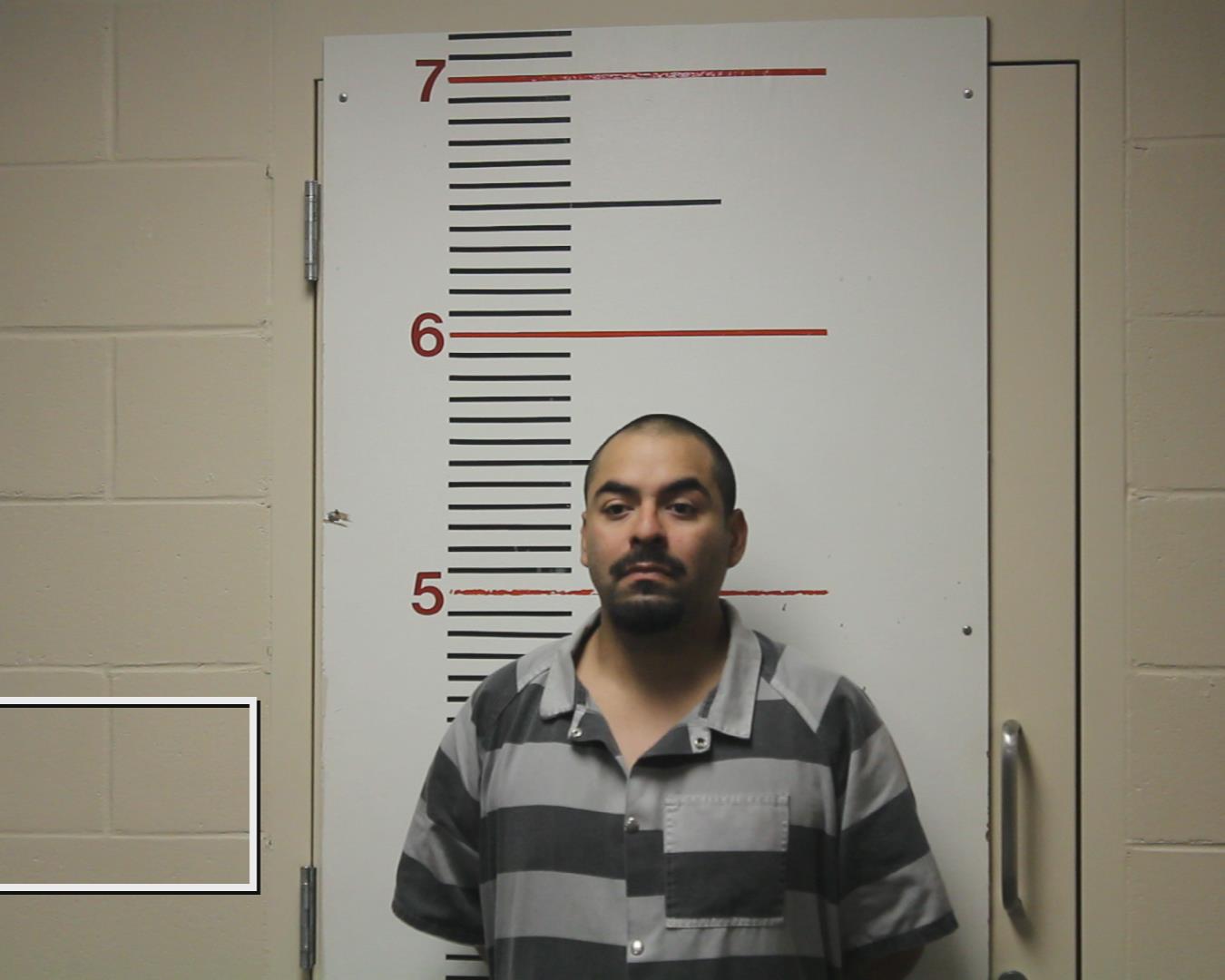 TORRES, JORGE ALBERTO booking photo