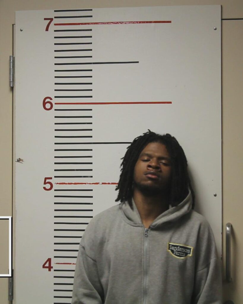 RUTH, MARQUISE ANTHONY arrested in Anderson County, Texas mugshot