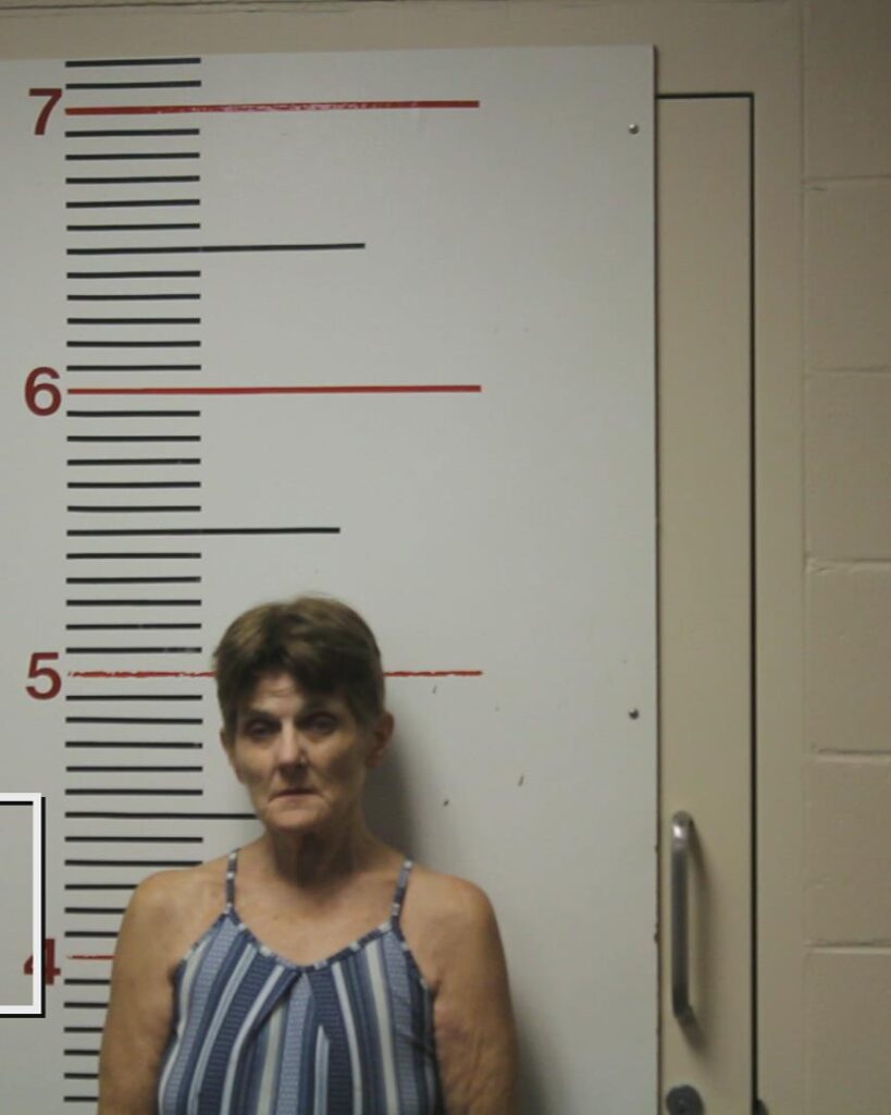 THURSBY, VELMA LEAH arrested in Anderson County, Texas mugshot