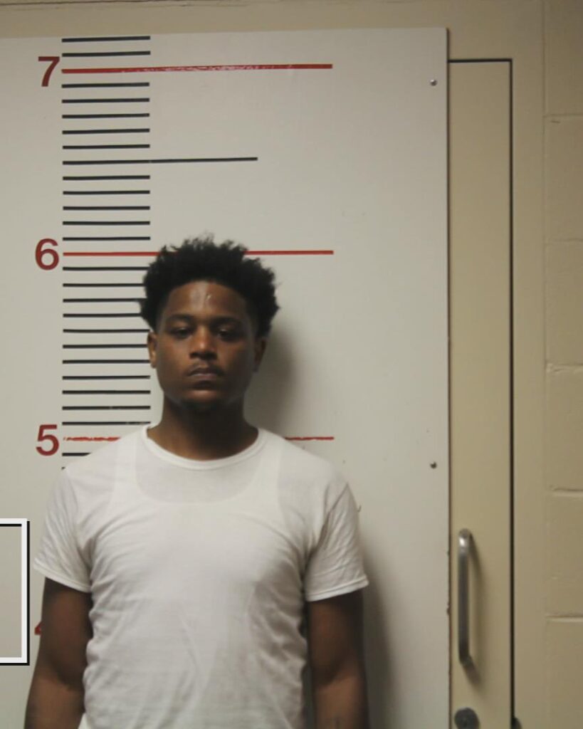 MARSHALL, ANTHONY LEE arrested in Anderson County, Texas mugshot