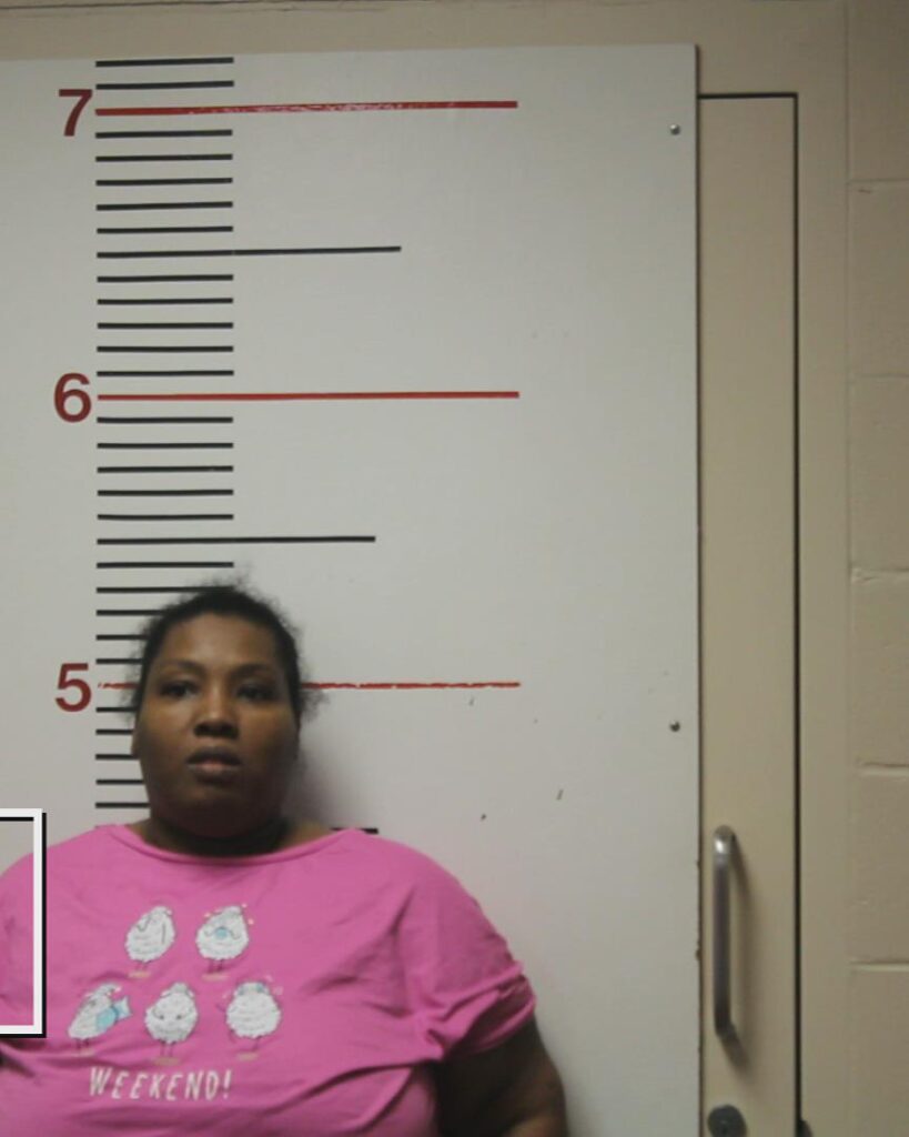 WALKER, CYNTHIA RENEE arrested in Anderson County, Texas mugshot