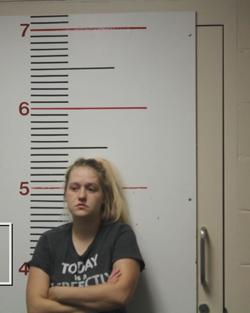 CLARK, SIDNEY NICOLE arrested in Anderson County, Texas mugshot