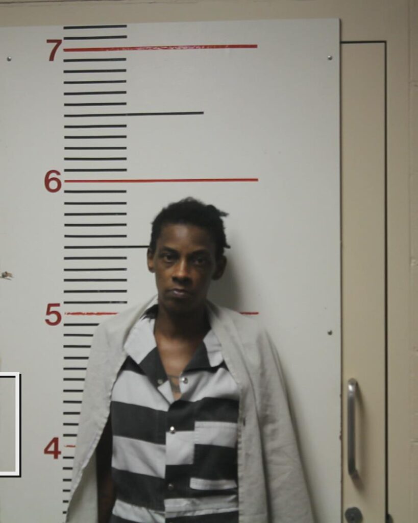 CLERKLEY, TRELISHA LANETTE arrested in Anderson County, Texas mugshot