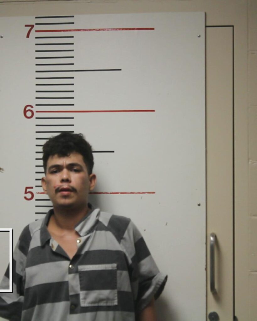 TREJO PEREZ, JUAN ARTURO arrested in Anderson County, Texas mugshot