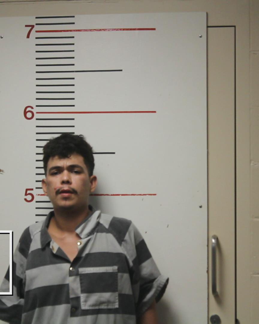 TREJO PEREZ, JUAN ARTURO booking photo