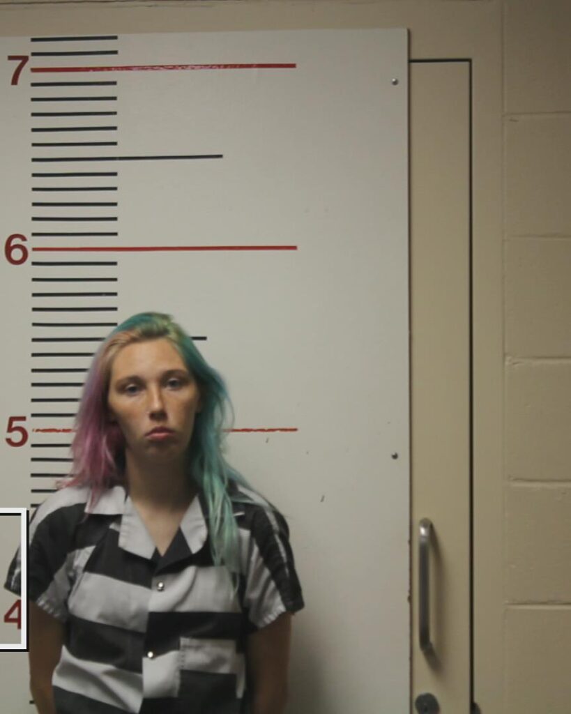 CRUICKSHANK, BRITTANY NICHOLE arrested in Anderson County, Texas mugshot