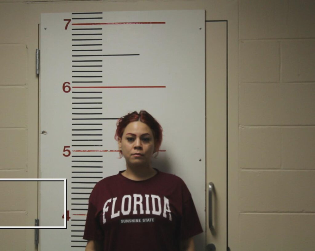 MCCARTY, ALICIA JANECE arrested in Anderson County, Texas mugshot