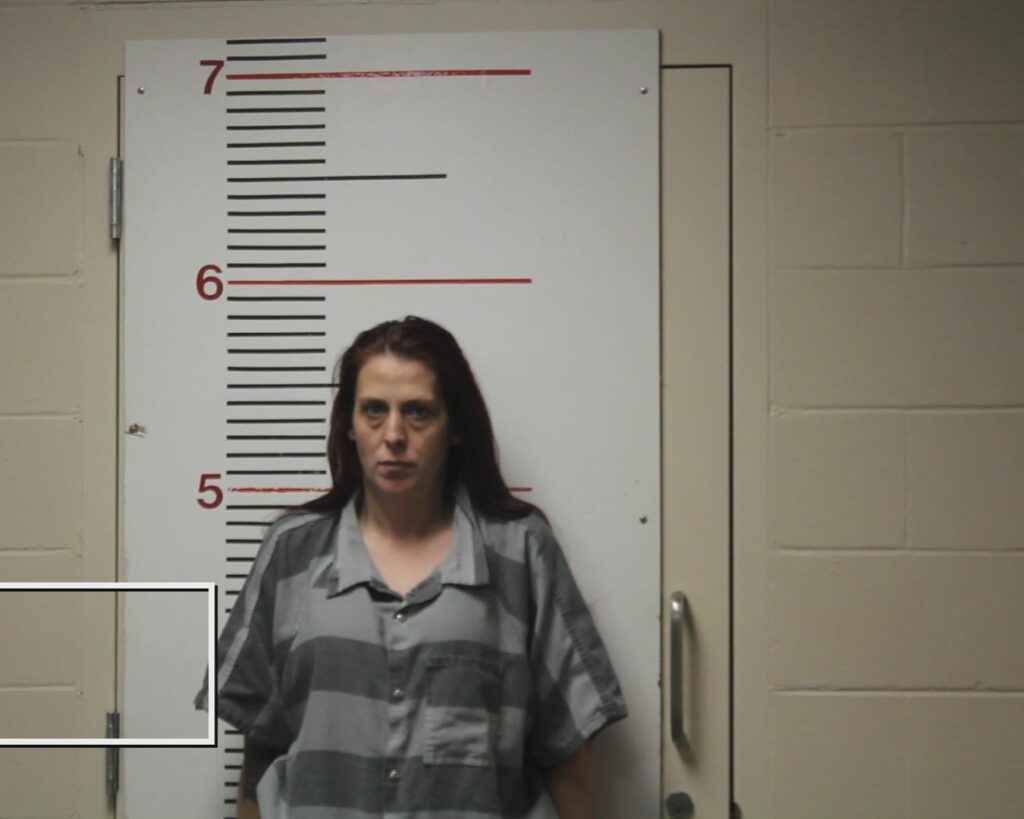 HELLMICH, JESSICA LYNN arrested in Anderson County, Texas mugshot