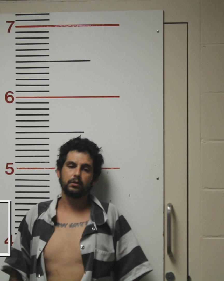 NYE, MICHAEL booking photo