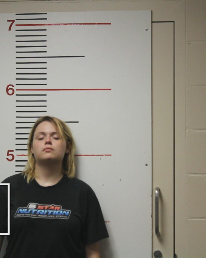 BROWN, KHYANN FAYE arrested in Anderson County, Texas mugshot