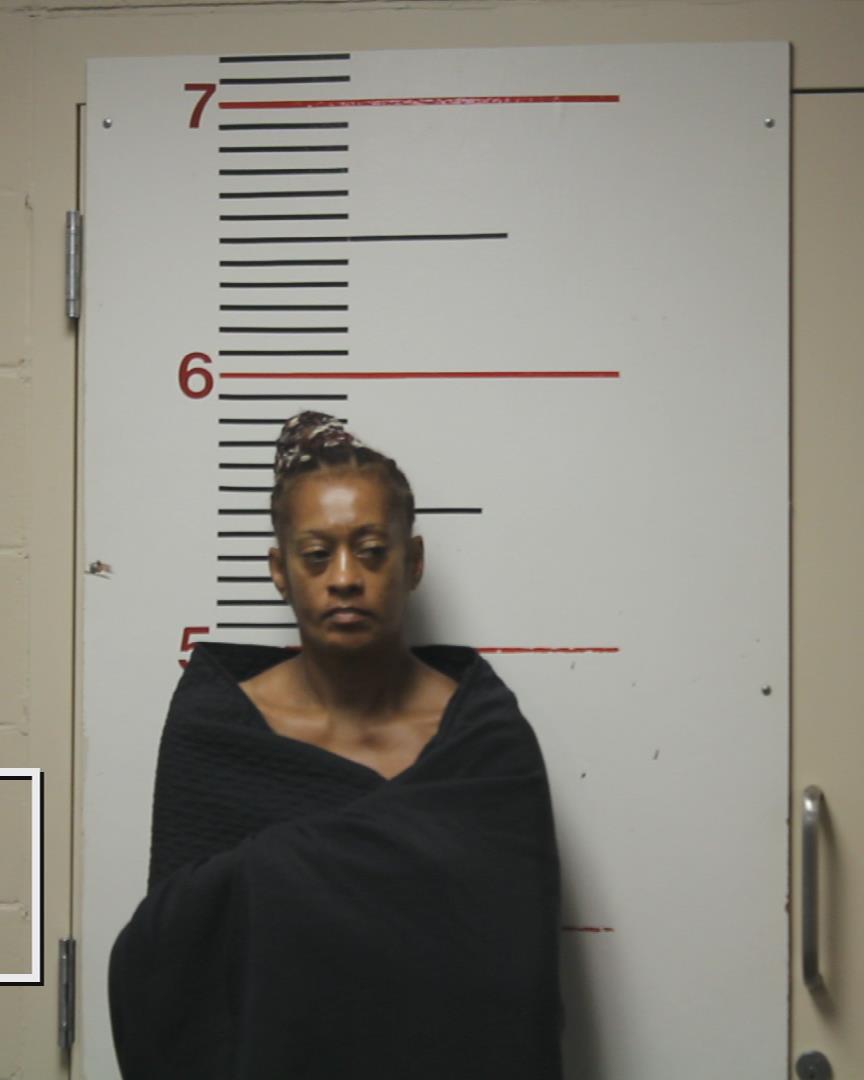 NORTON, KATRINA ANN booking photo