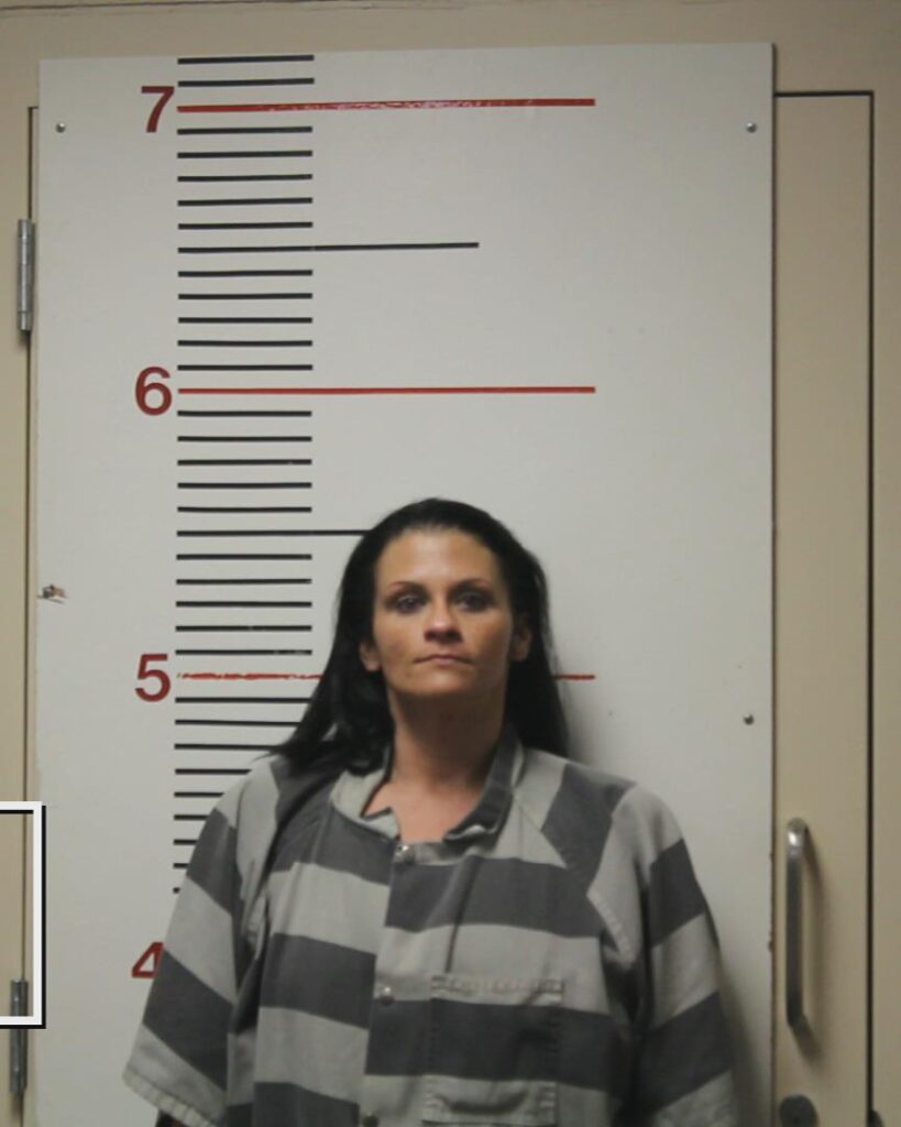 KING, ANITA MAE arrested in Anderson County, Texas mugshot