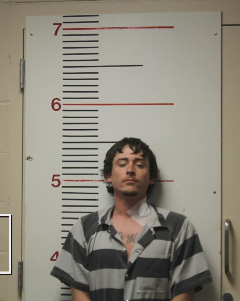 STANALAND, TILER GLENN arrested in Anderson County, Texas mugshot