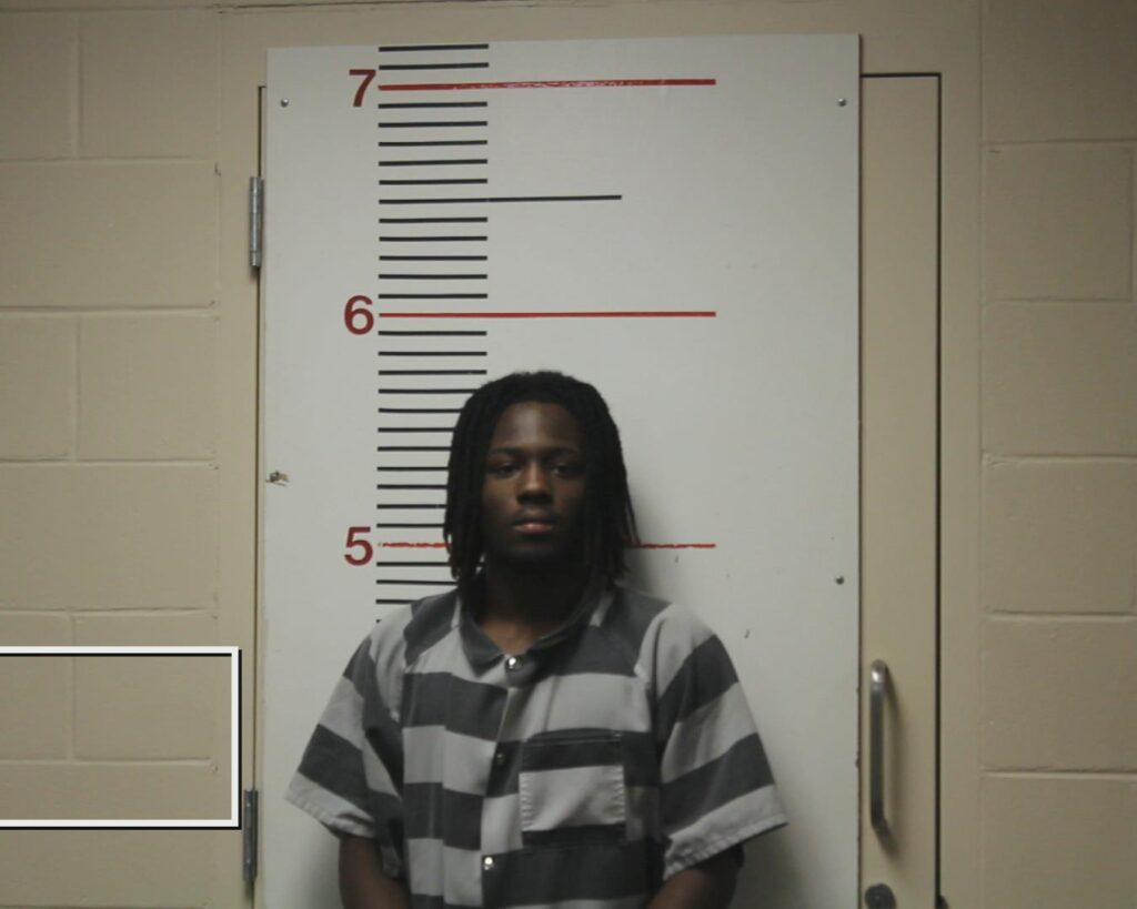 MANNING, JAMAURIUS DEMOND arrested in Anderson County, Texas mugshot