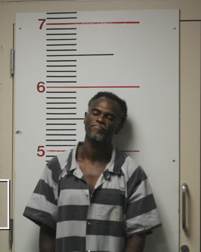 ADAMS, LAMARLON DEVON arrested in Anderson County, Texas mugshot