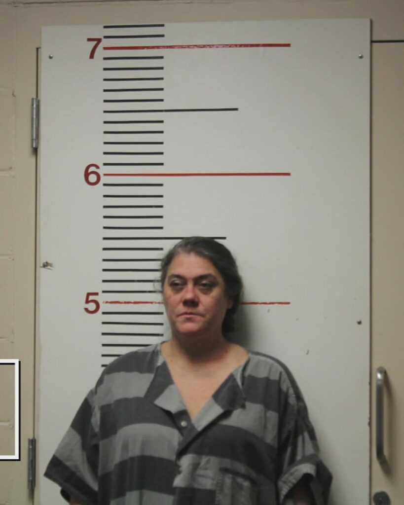 DYESS, AMANDA LORRAINE arrested in Anderson County, Texas mugshot