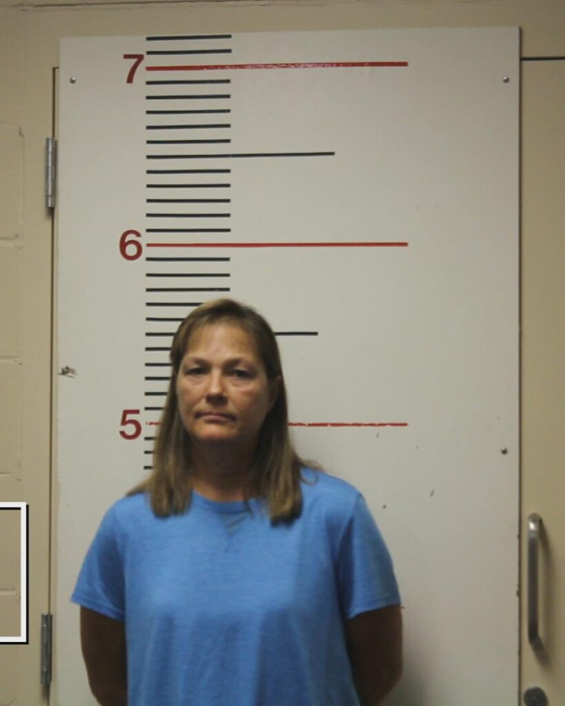 DYESS, KELLEY ELAINE arrested in Anderson County, Texas mugshot