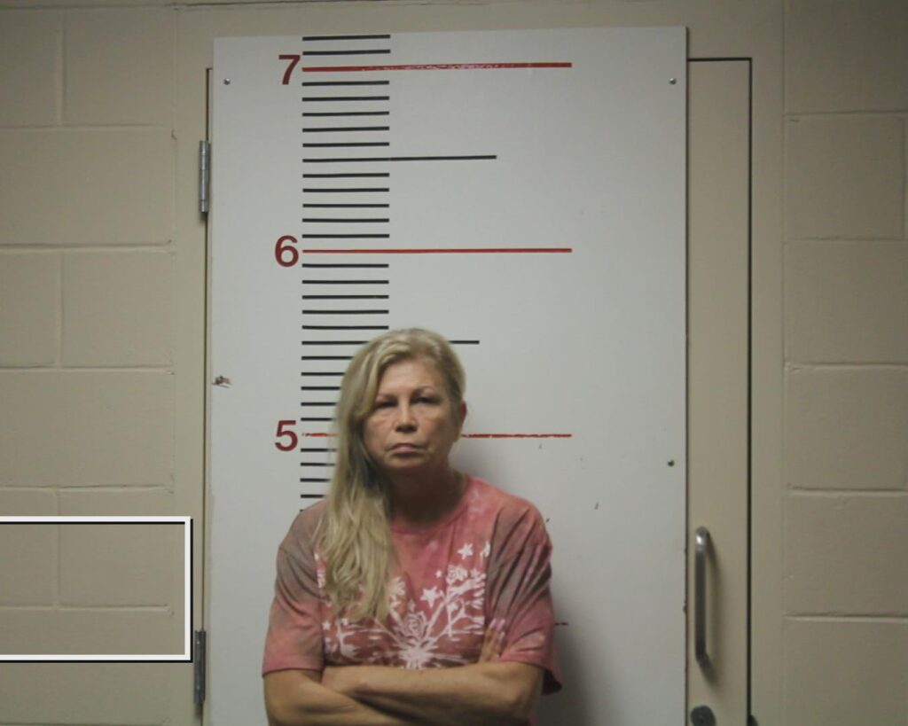 CARTER, WENDY LINDSEY arrested in Anderson County, Texas mugshot