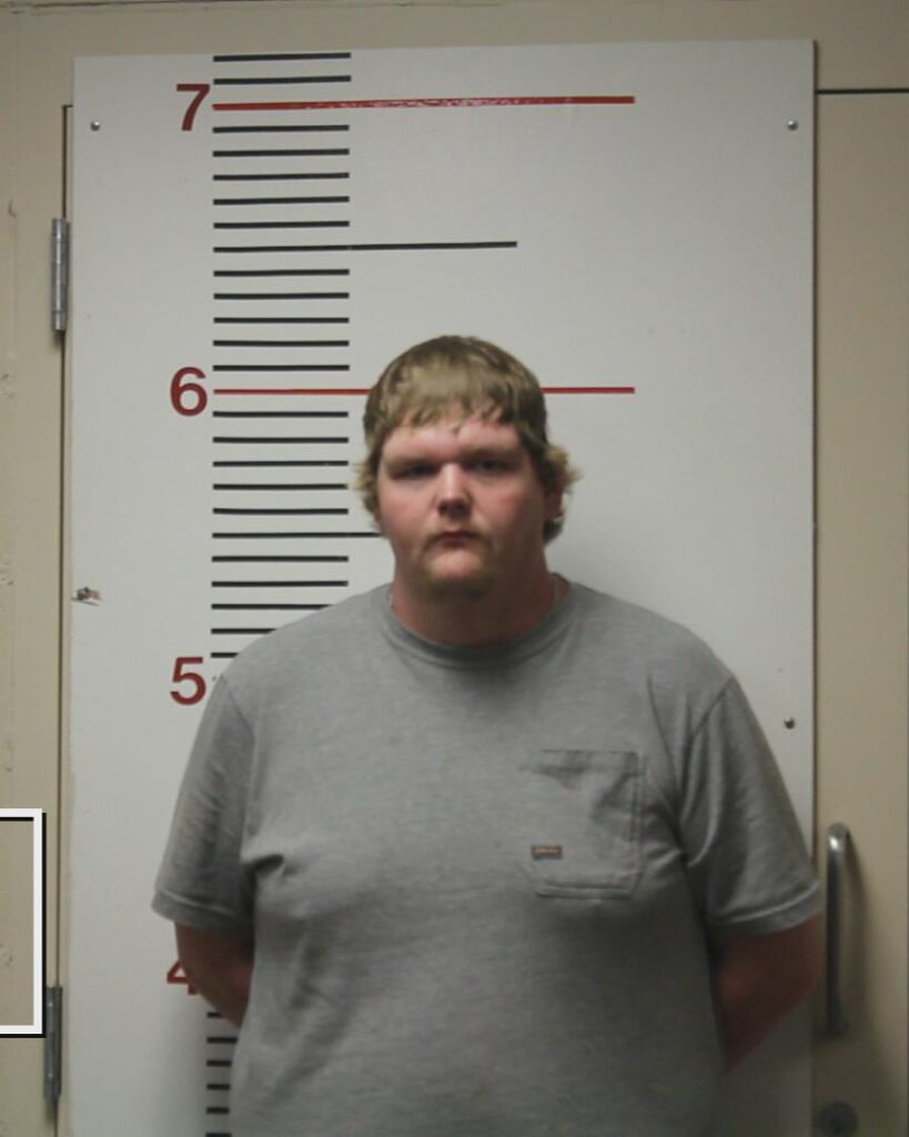 BRISTOW, DYLAN DALE arrested in Anderson County, Texas mugshot