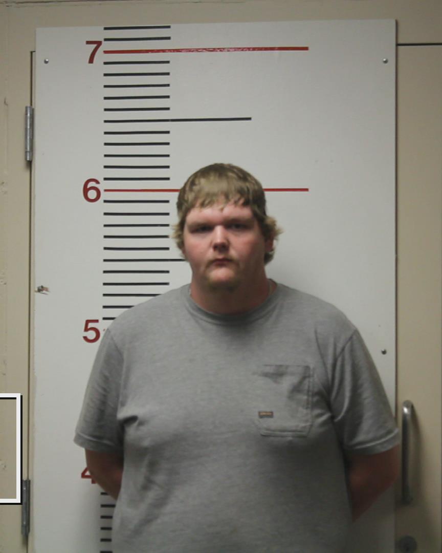 BRISTOW, DYLAN DALE booking photo