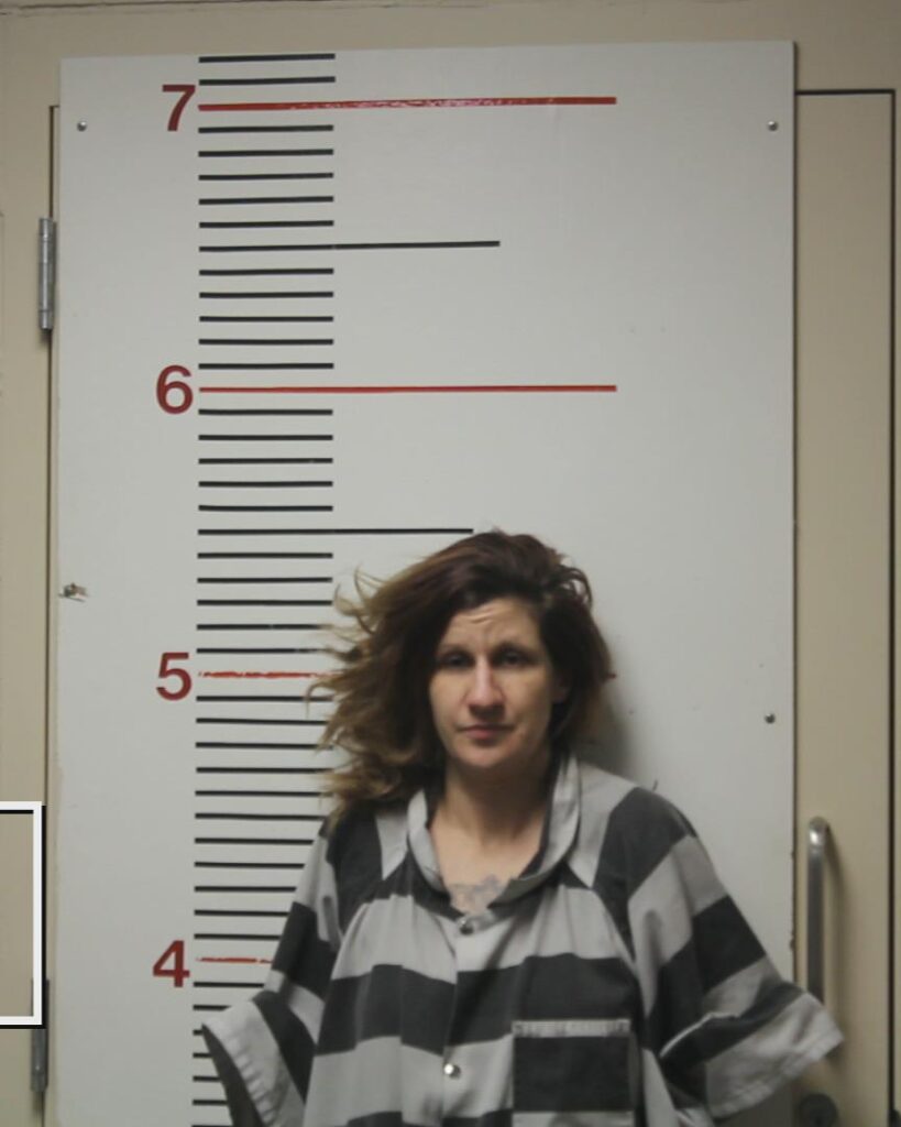 GOMEZ, BAILI SHEA arrested in Anderson County, Texas mugshot