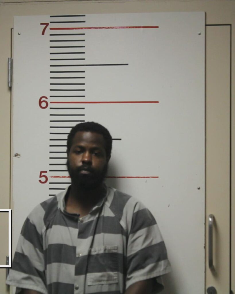 FARRIS, JOSHUA DENZEL arrested in Anderson County, Texas mugshot
