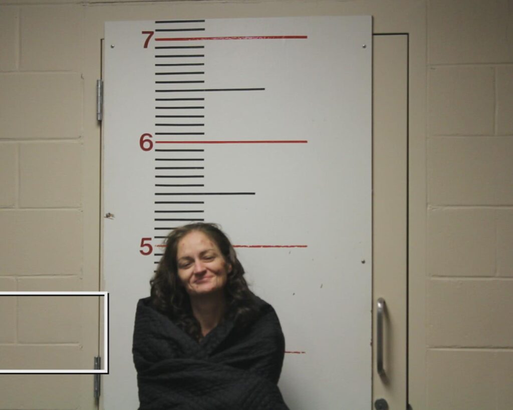 HUFF, TRACEY LYNN arrested in Anderson County, Texas mugshot