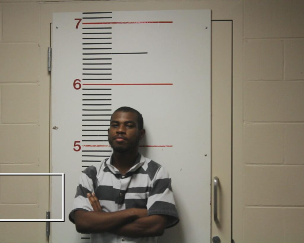 WHITE, JOSEPH arrested in Anderson County, Texas mugshot