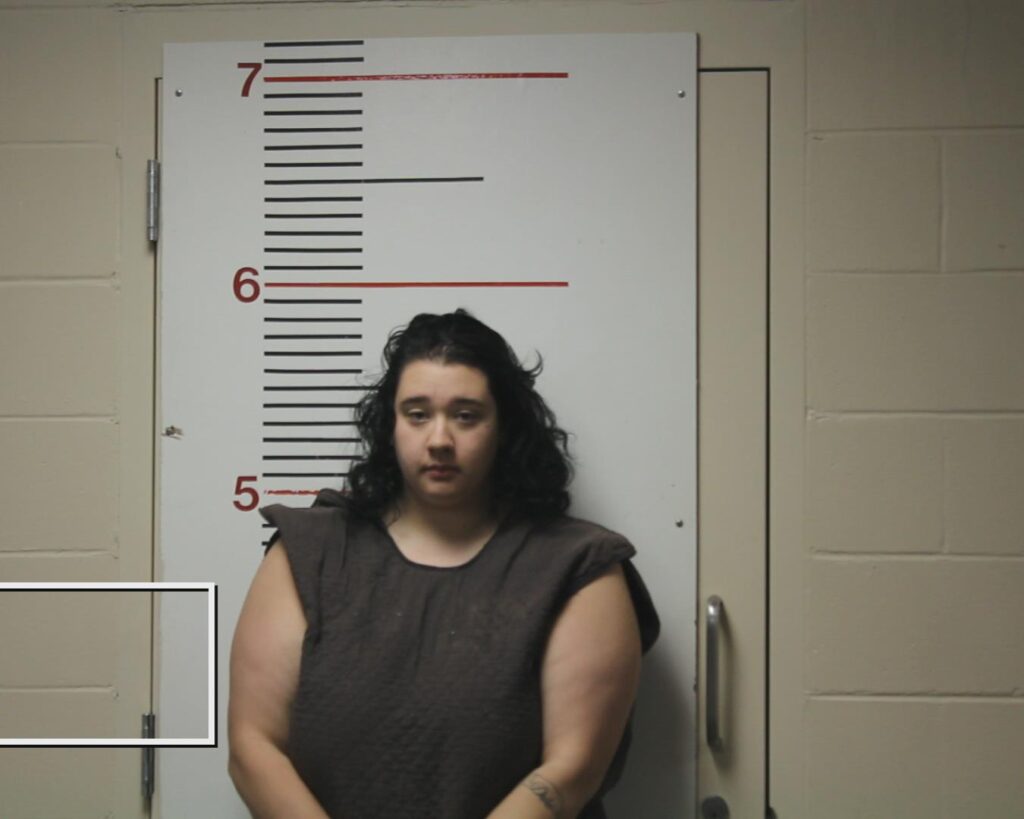 MOYER, RYLEIGH RAINE arrested in Anderson County, Texas mugshot
