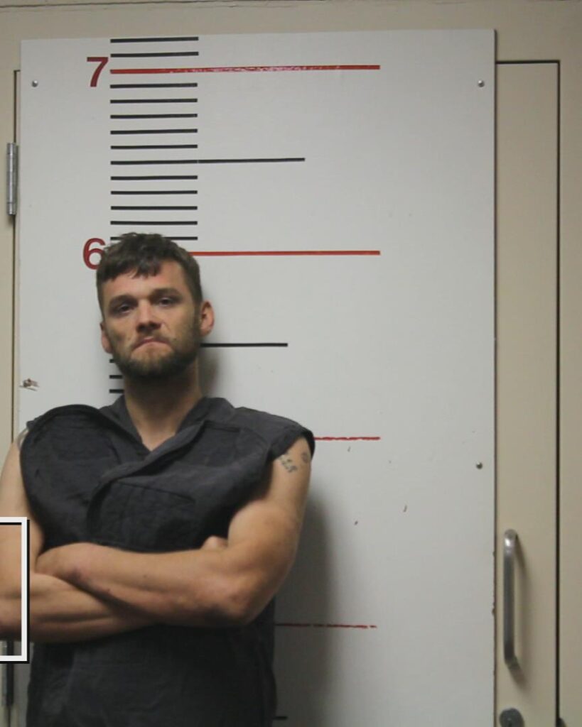 WILEY, RONNIE TILMAN, Jr. arrested in Anderson County, Texas mugshot