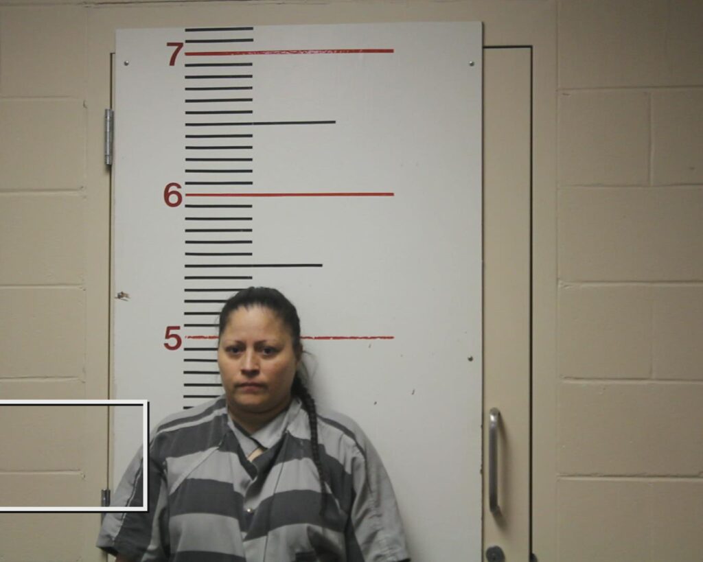 ROSA, GRACIELA arrested in Anderson County, Texas mugshot