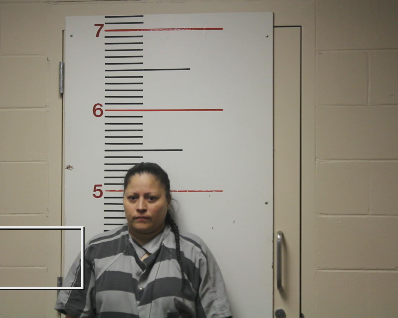 ROSA, GRACIELA booking photo