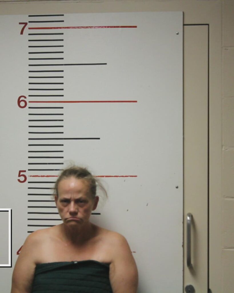 LINDERMAN, JANNA ANELL arrested in Anderson County, Texas mugshot