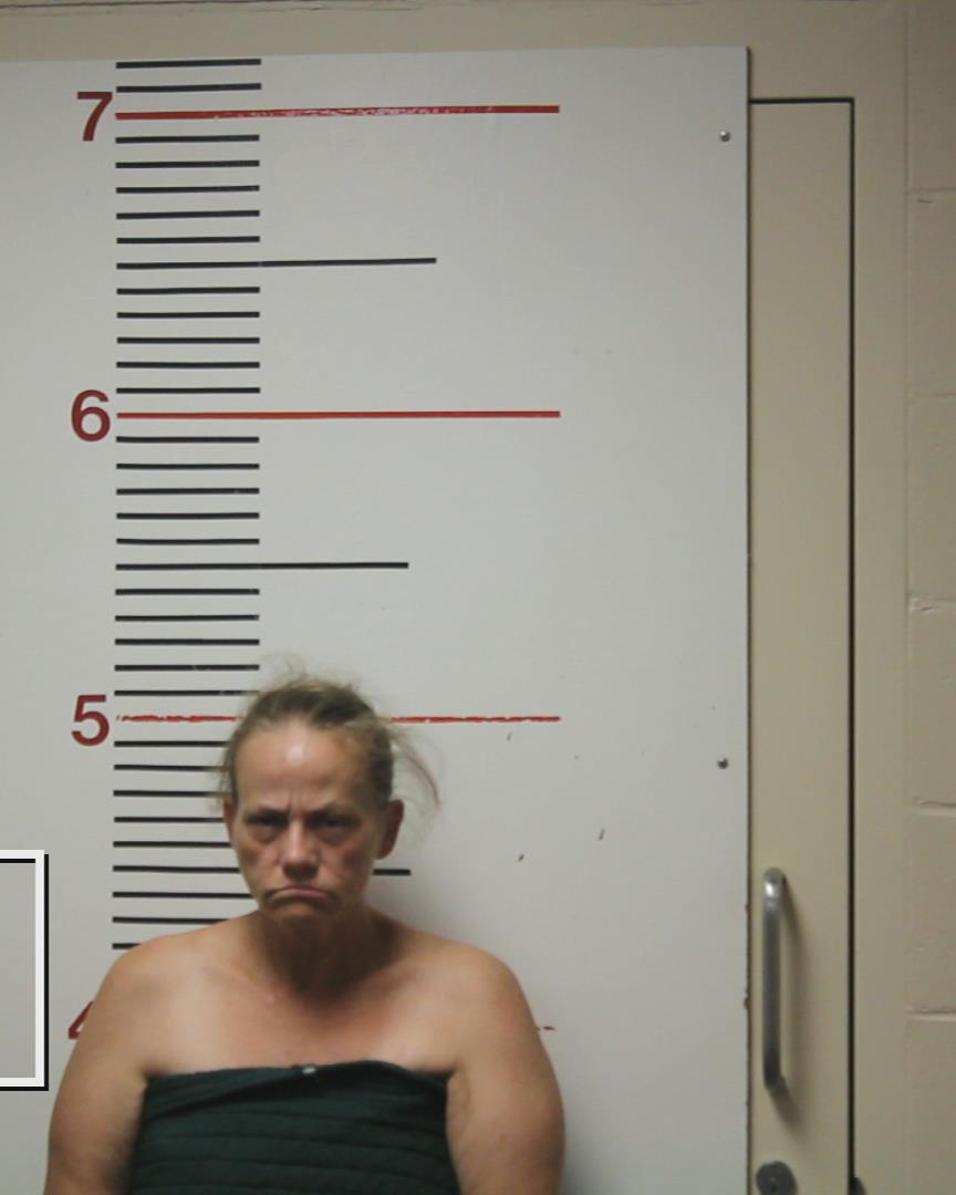 LINDERMAN, JANNA ANELL booking photo