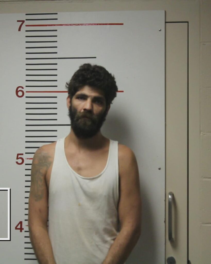 JONES, IAN MATTHEW arrested in Anderson County, Texas mugshot