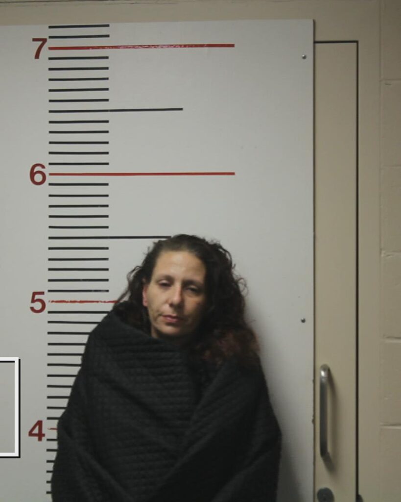 FREDERICK, JESSICA LYN arrested in Anderson County, Texas mugshot