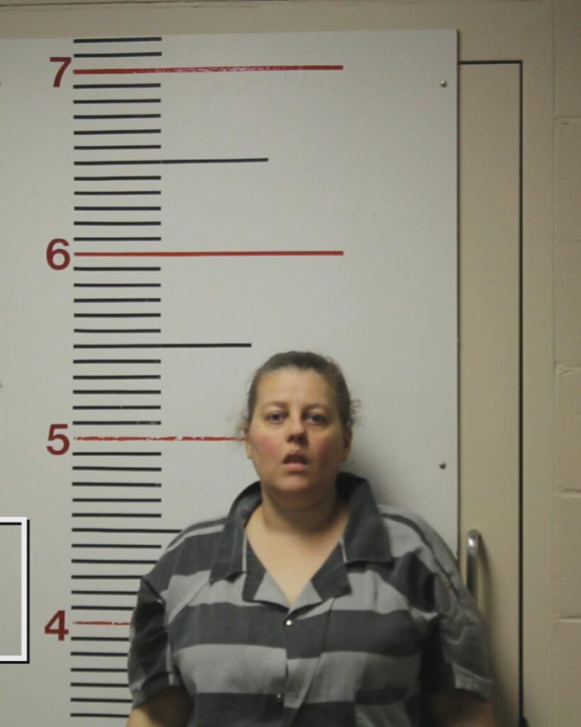 LAMBERT, RENA LYNN arrested in Anderson County, Texas mugshot