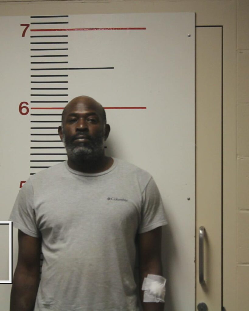 DAVIS, PATRICK DEWAYNE arrested in Anderson County, Texas mugshot