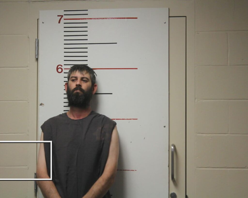 SOWELL, JAMES ALVIS arrested in Anderson County, Texas mugshot