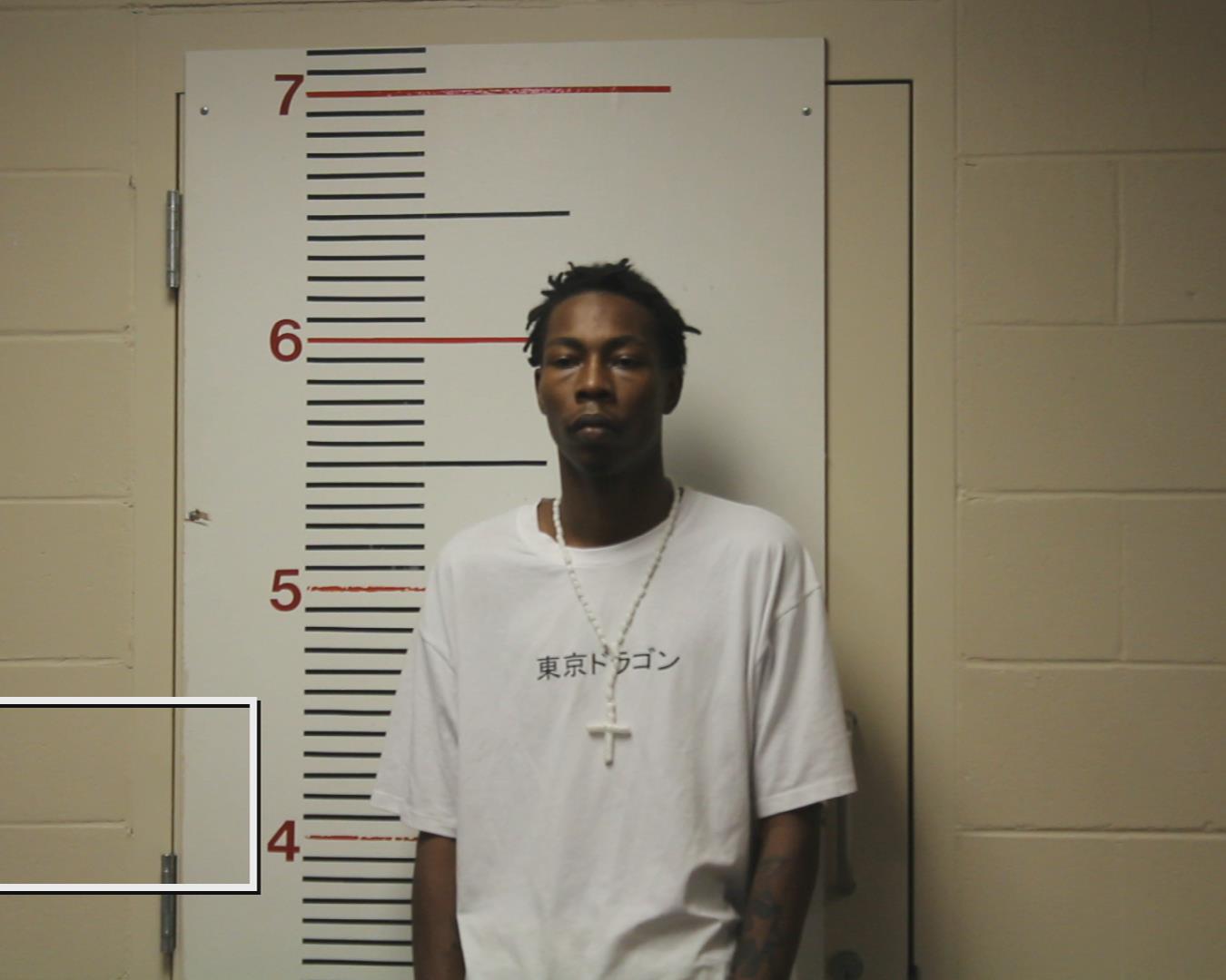 FERRELL, GARY LEE booking photo