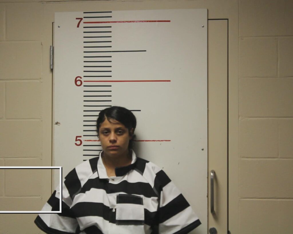 TILLIS, LACEY BRIANNA arrested in Anderson County, Texas mugshot