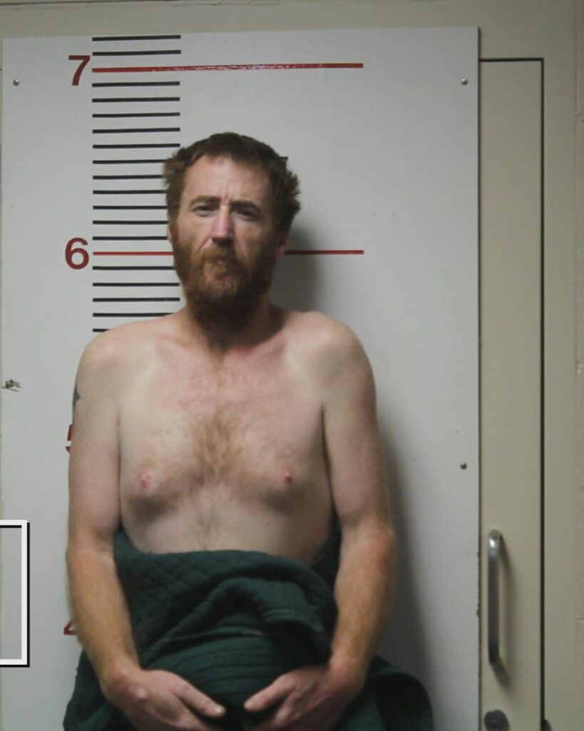 GREEN, CHRISTOPHER arrested in Anderson County, Texas mugshot