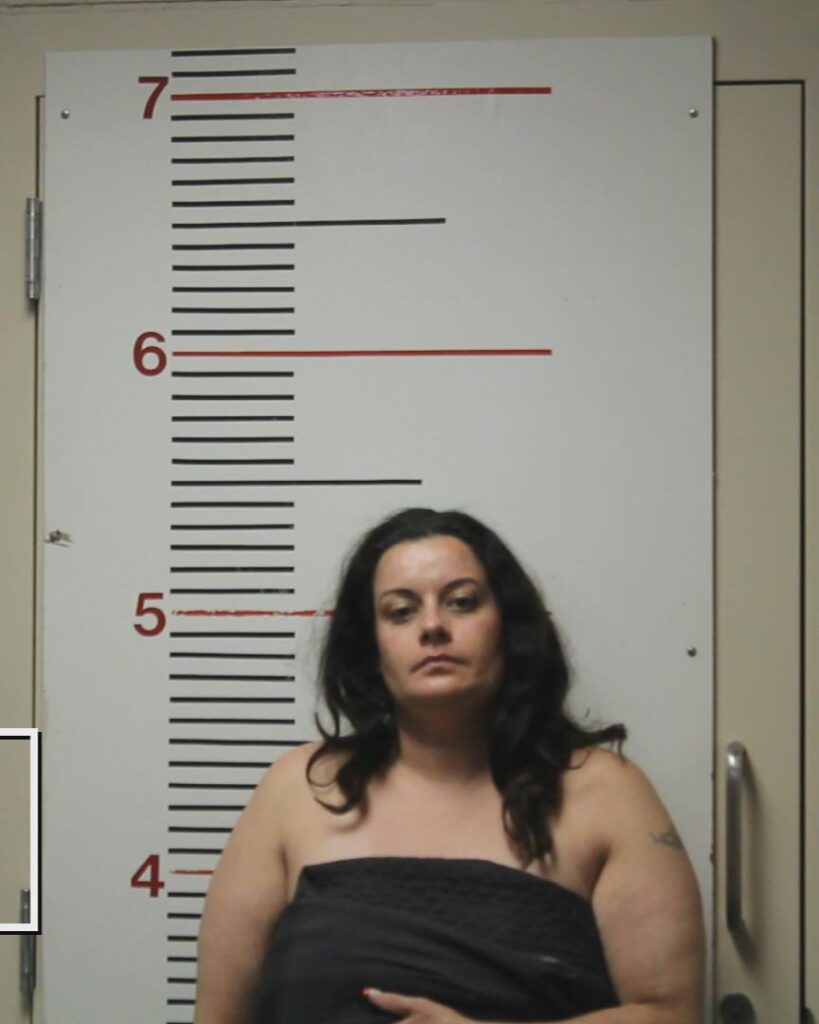 TABER, CRYSTAL arrested in Anderson County, Texas mugshot